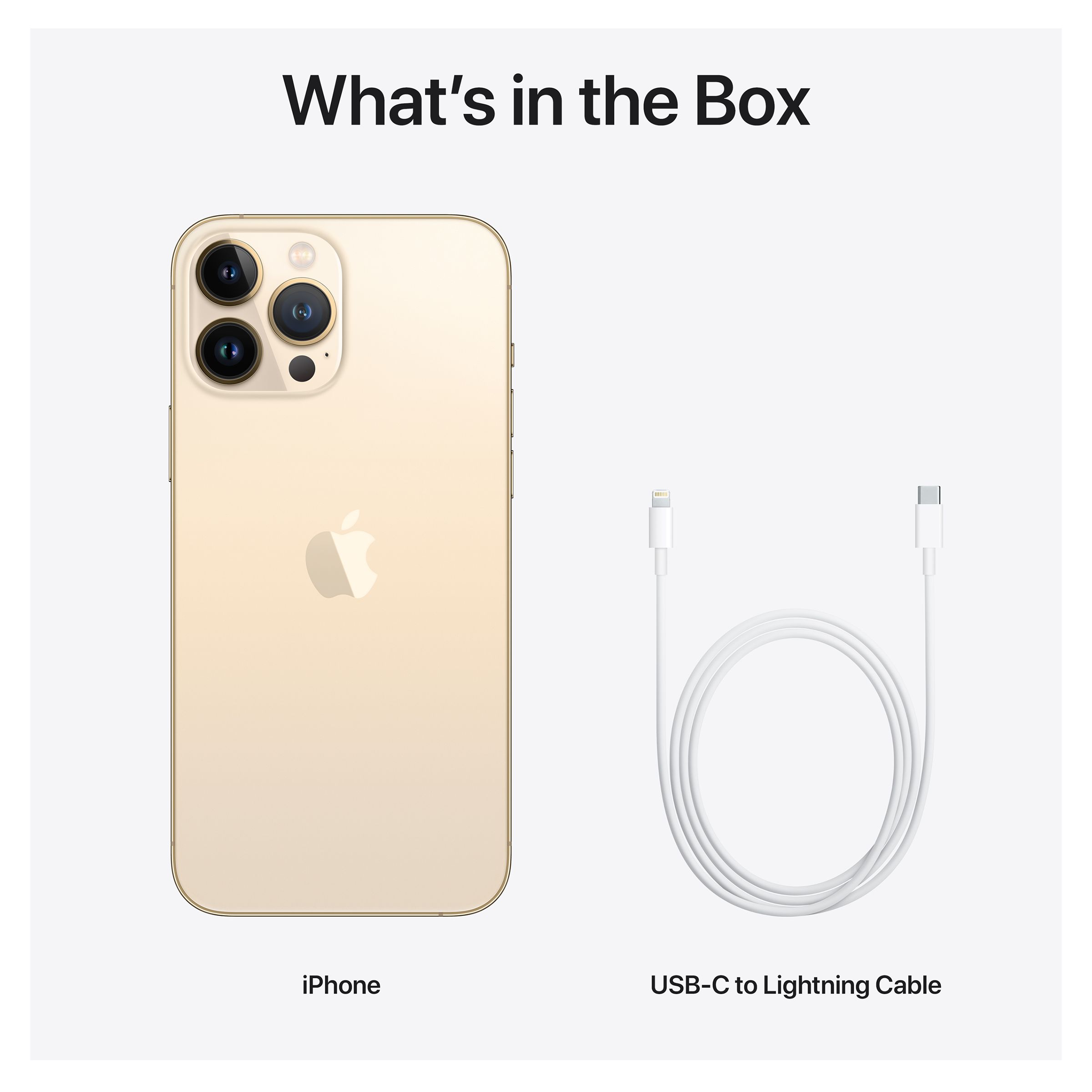 Buy Apple iPhone 13 Pro Max (1TB, Gold) Online - Croma